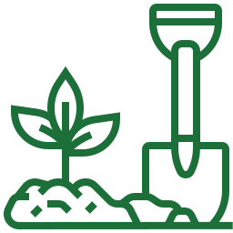 Gartenpflege – Rasen mähen, Hecken schneiden